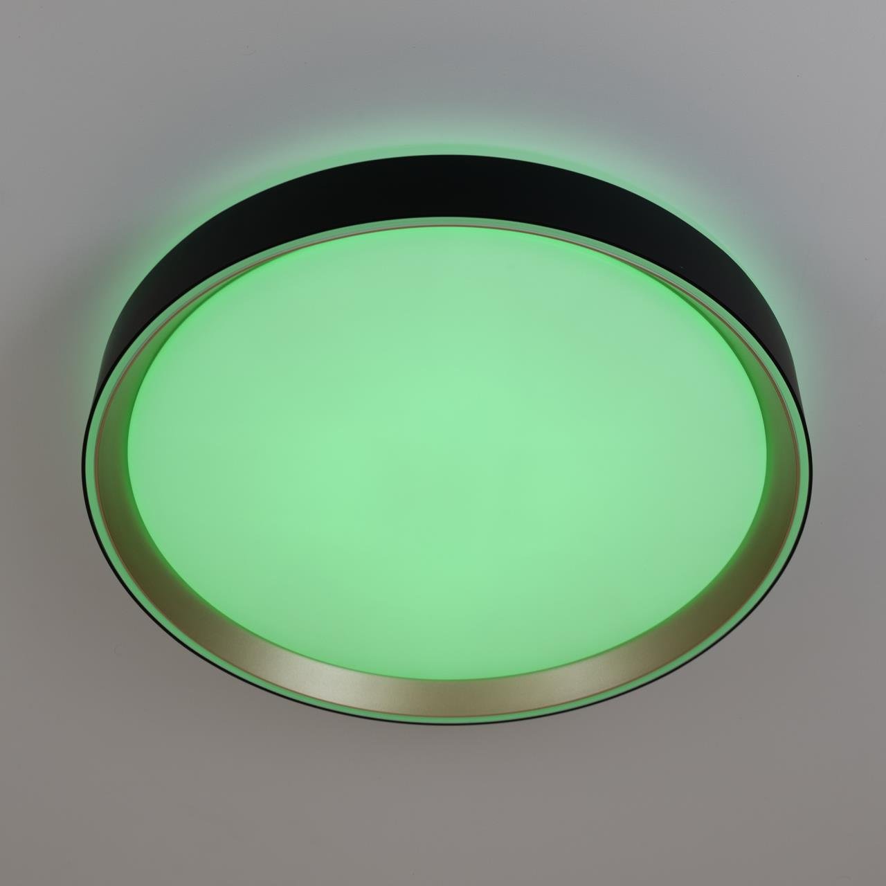 CL751351G Светильник потолочный Citilux Boss CL751351G