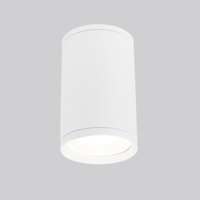 Накладной светильник Elektrostandard Light 2101 Light 2101 (35128/H) белый