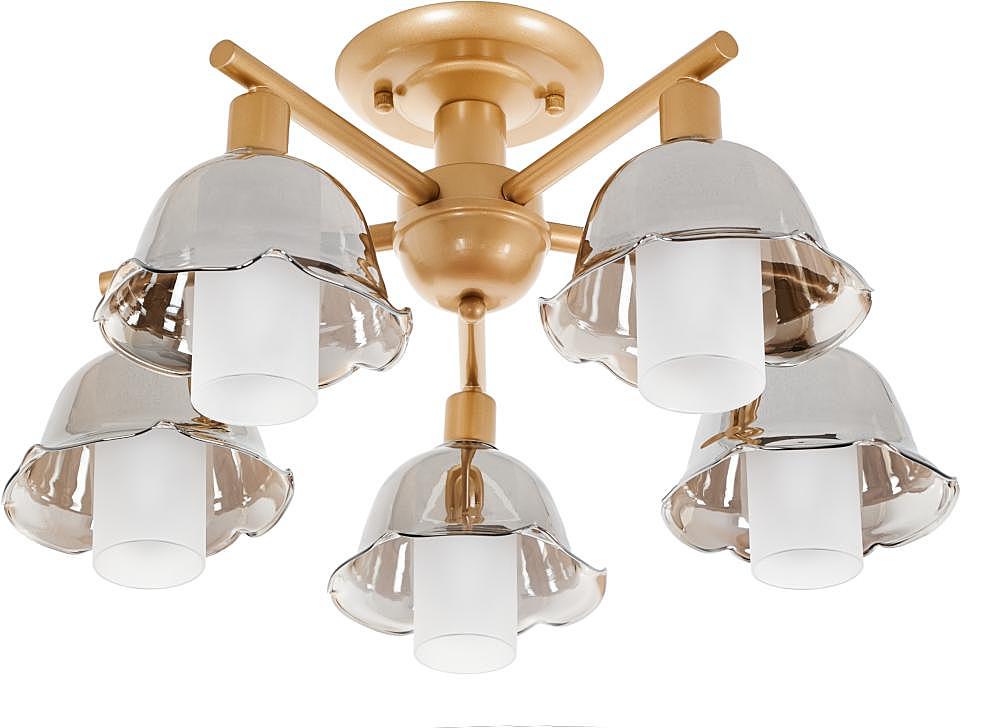 MR1481-5C Потолочная люстра MyFar Lisa MR1481-5C