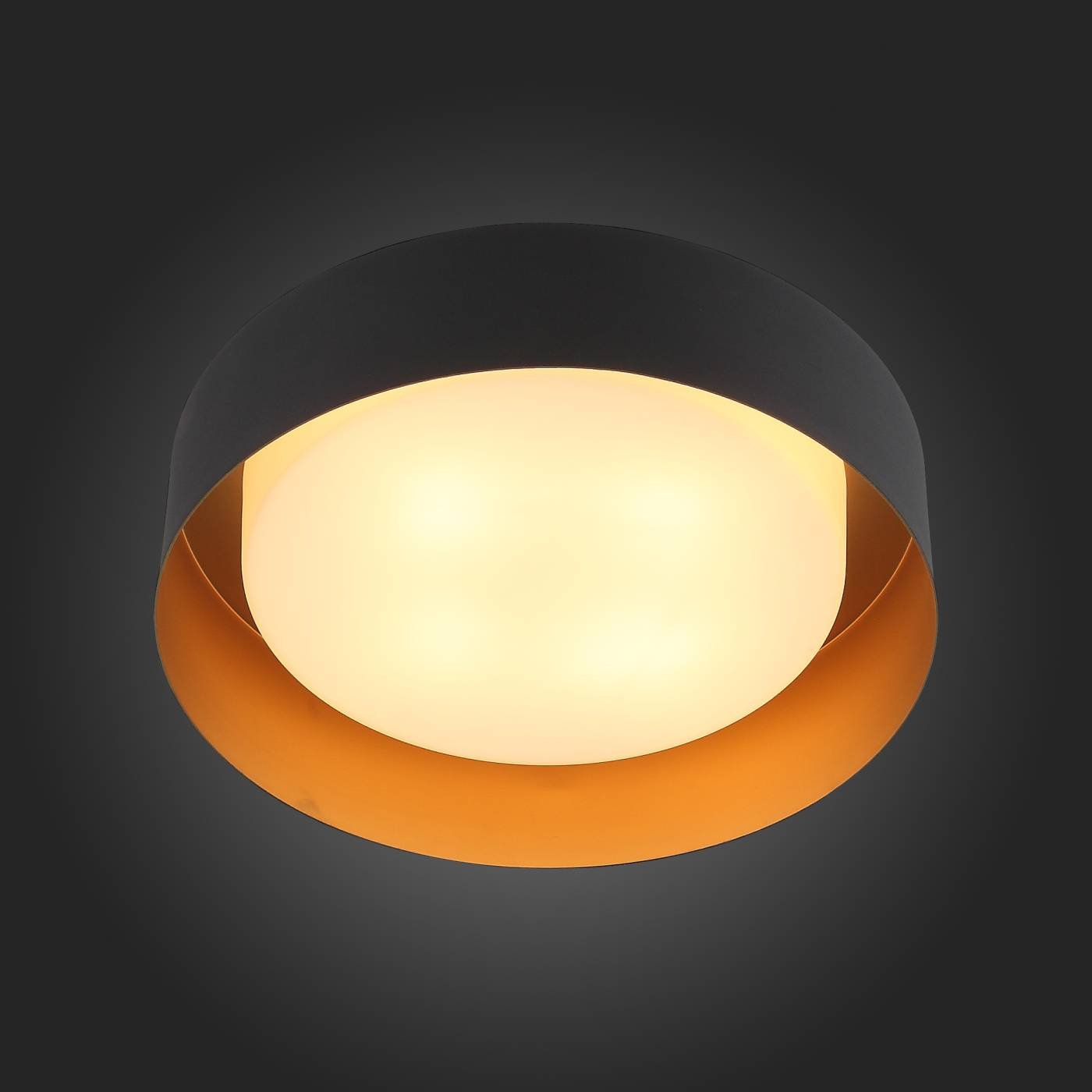 SL392.422.04 Светильник потолочный ST Luce Chio SL392.422.04