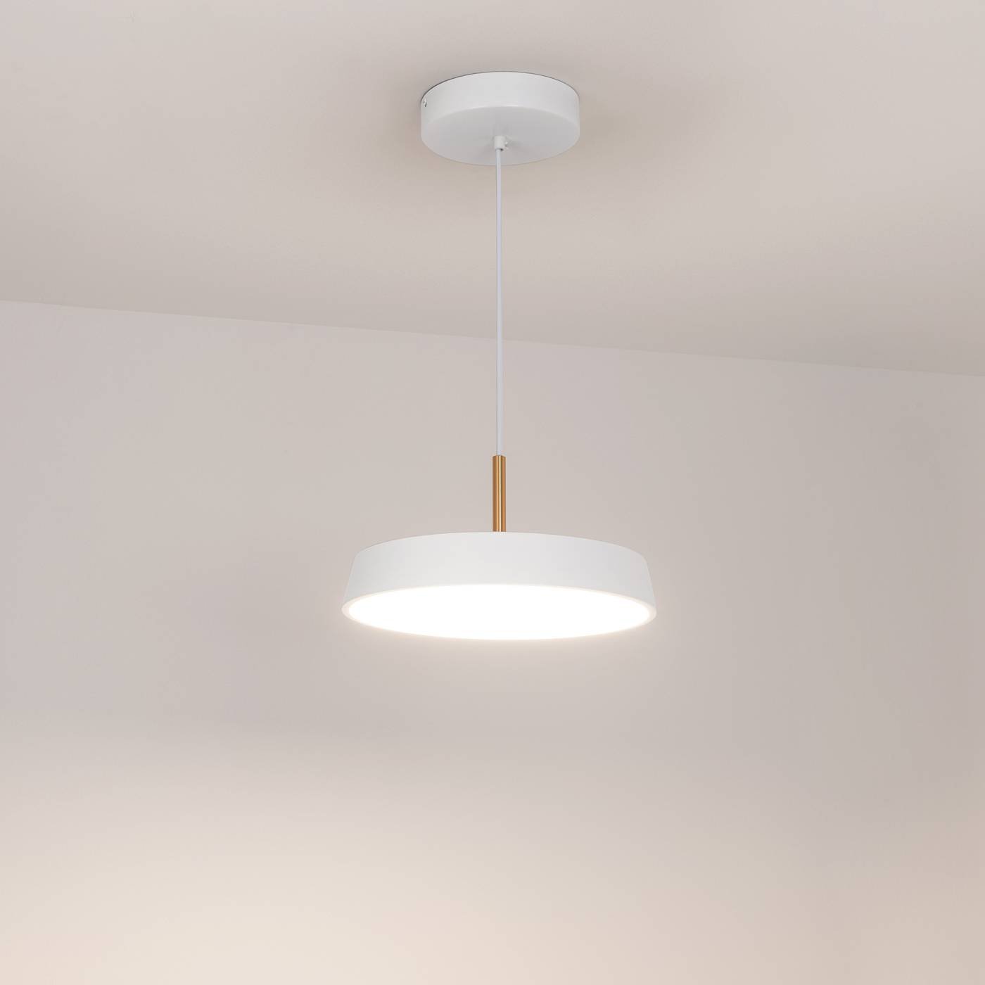 033919 Светильник подвесной Arlight Elegant 033919