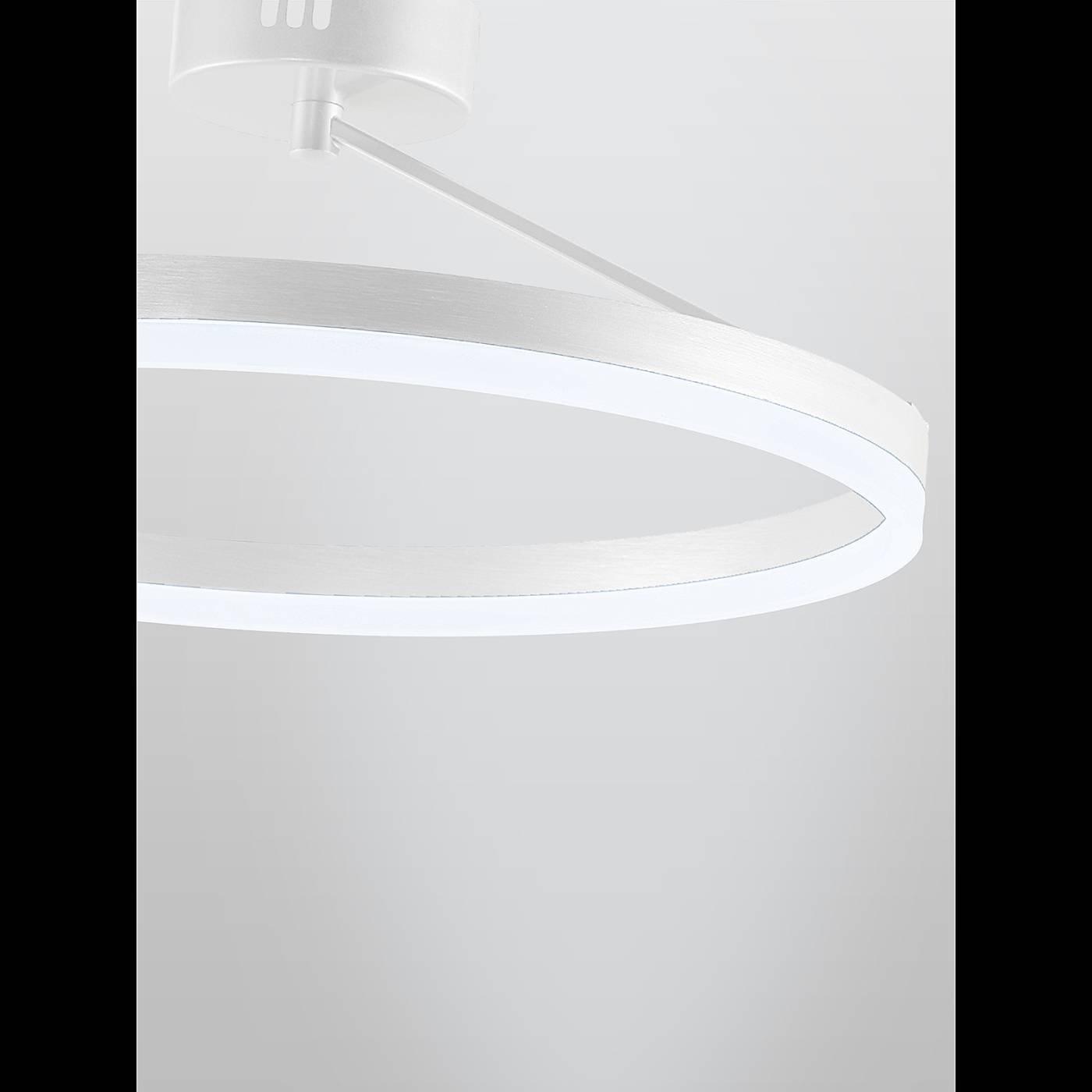 Светильник потолочный Natali Kovaltseva Finam LED LAMPS 81121/1C