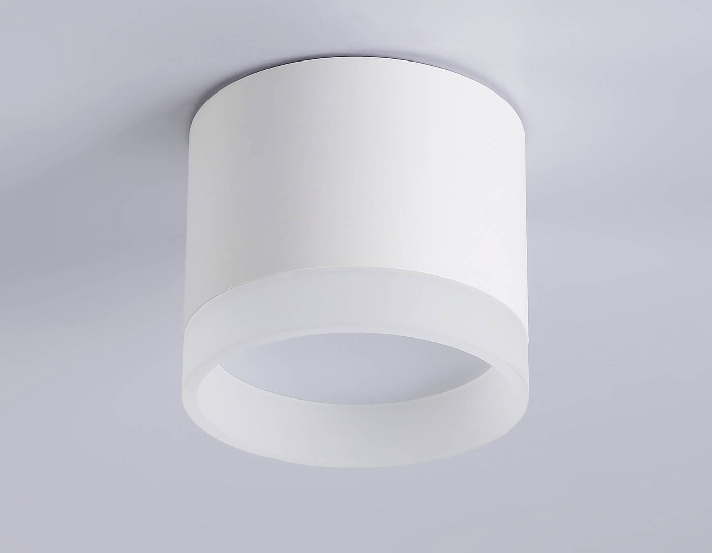 Накладной светильник Ambrella Acrylic Frost TN5365