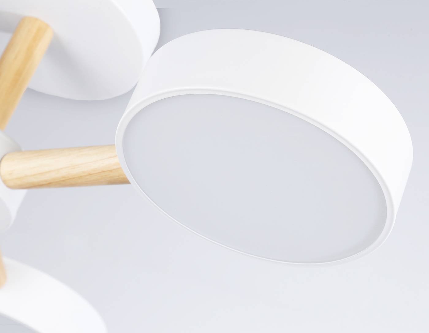 FL4821 Потолочная люстра Ambrella LineTech FL4821