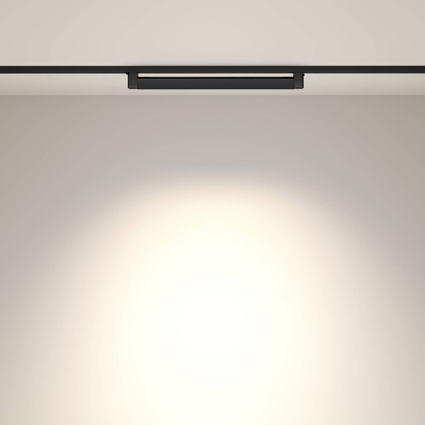 Трековый светильник Maytoni Points Rot Unity TR010-1-20W4K-M-B