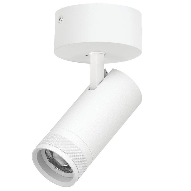 Светильник спот Lightstar Canno Pro C4206SO