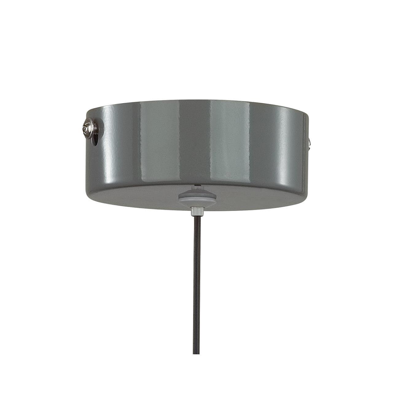 Светильник подвесной Lumion Globe 6569/6L