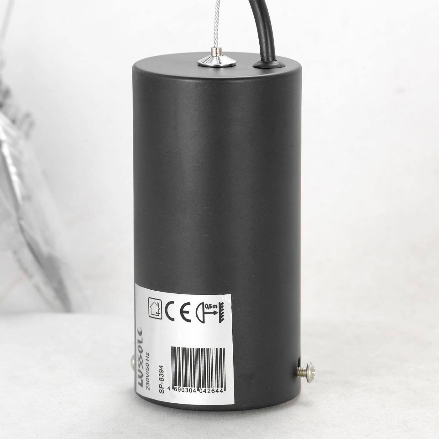 Светильник подвесной Lussole Pickens LSP-8394