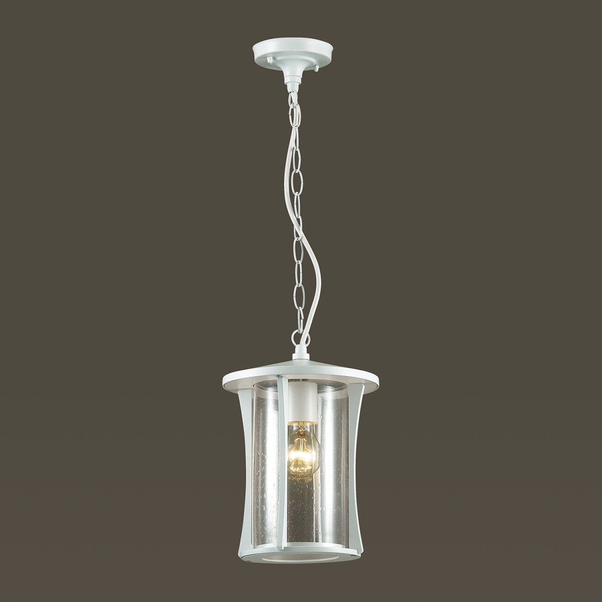 Уличный подвесной светильник Odeon Light Galen 4173/1