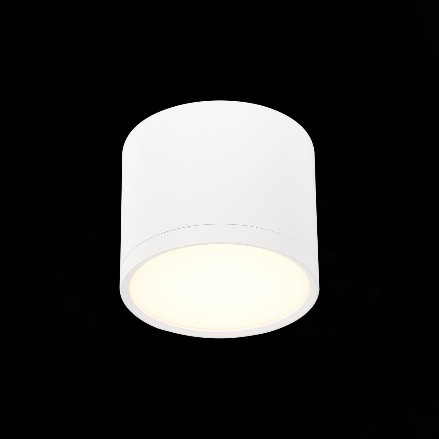 ST113.532.09 Накладной светильник ST Luce Rene ST113.532.09