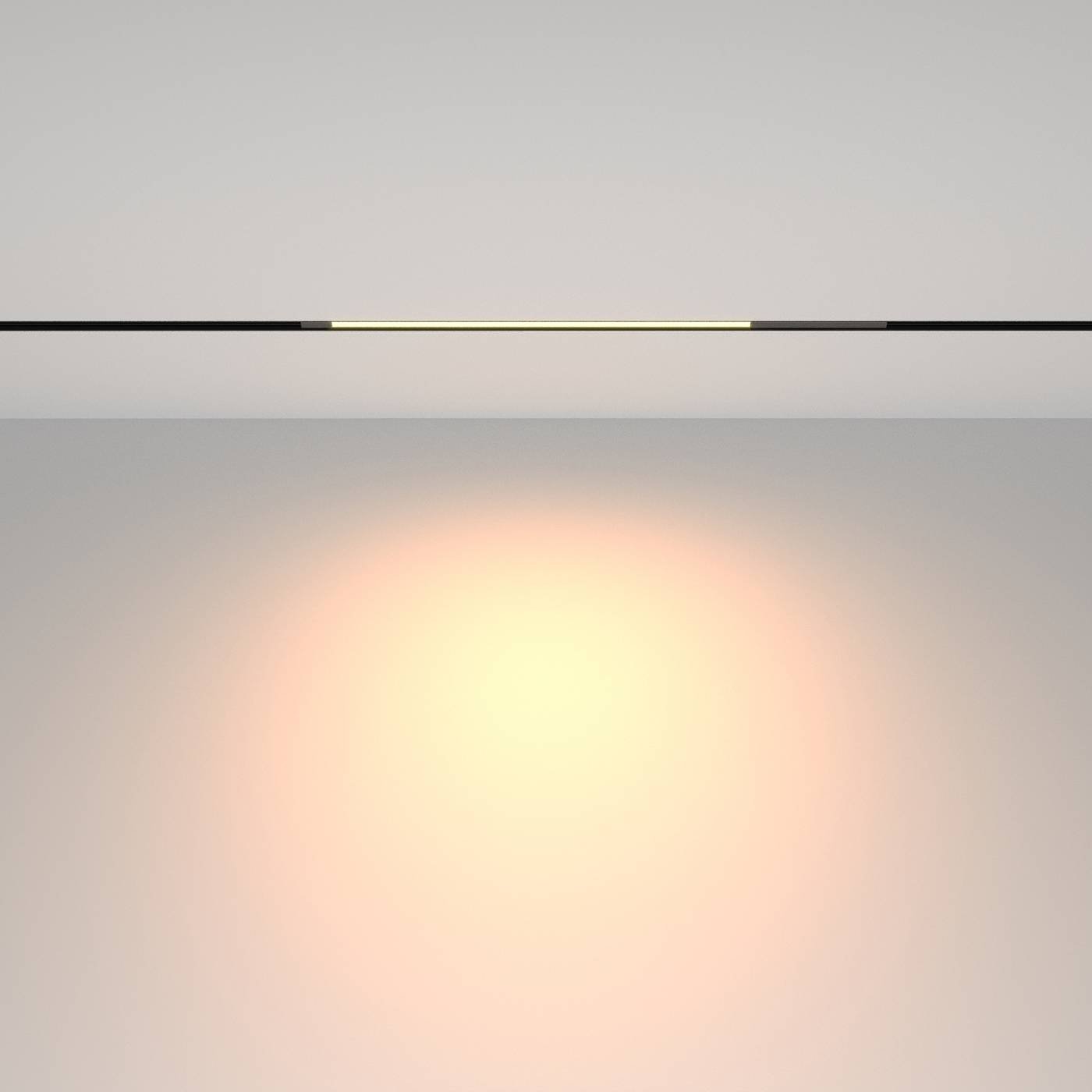 TR231-2-10W3K-B Трековый светильник Maytoni Basis TR231-2-10W3K-B