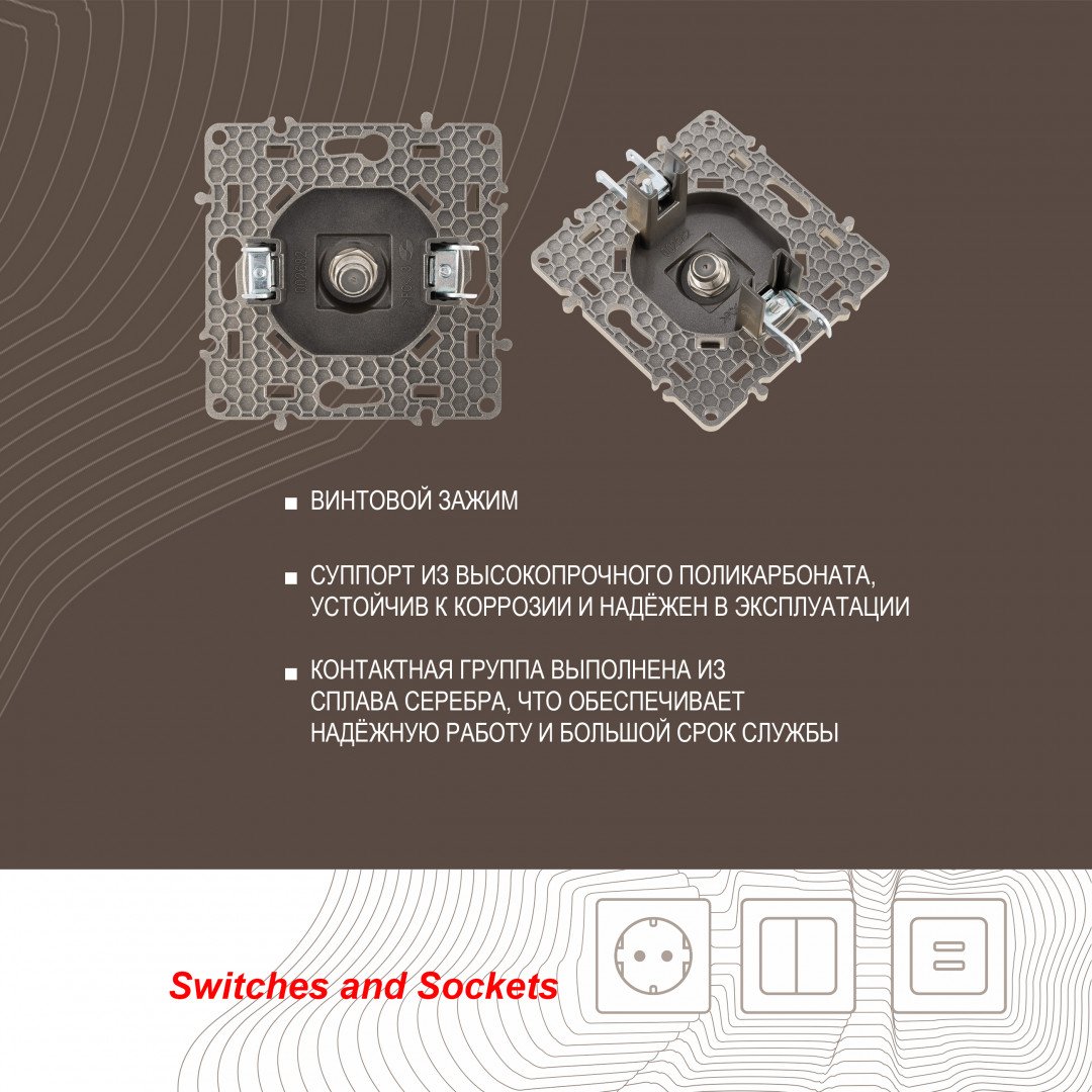 Розетка Arte Milano Am-217 217.42-1.shampan