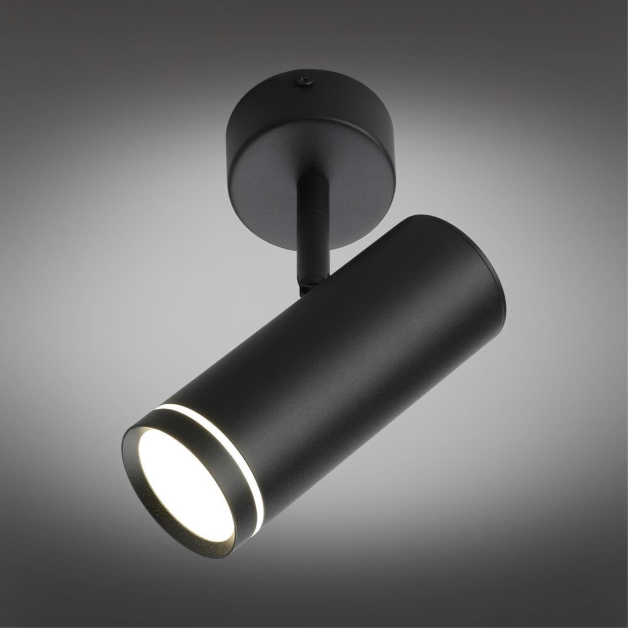 OML-102209-12 Светильник спот Omnilux Deruta OML-102209-12