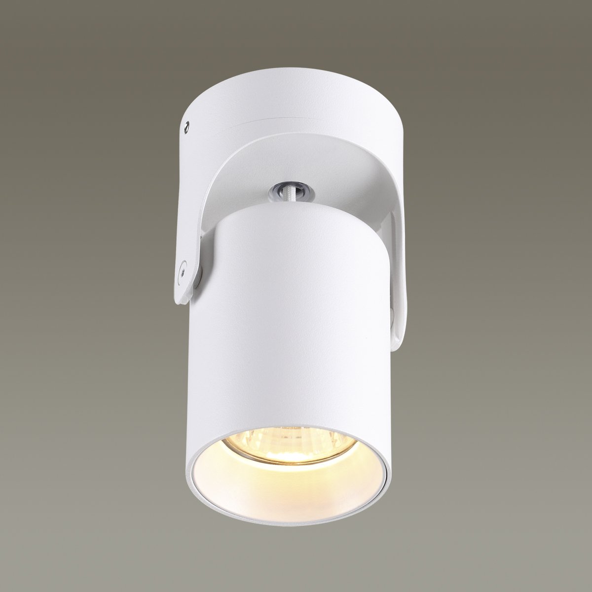 Светильник спот Odeon Light Corsus 3854/1C