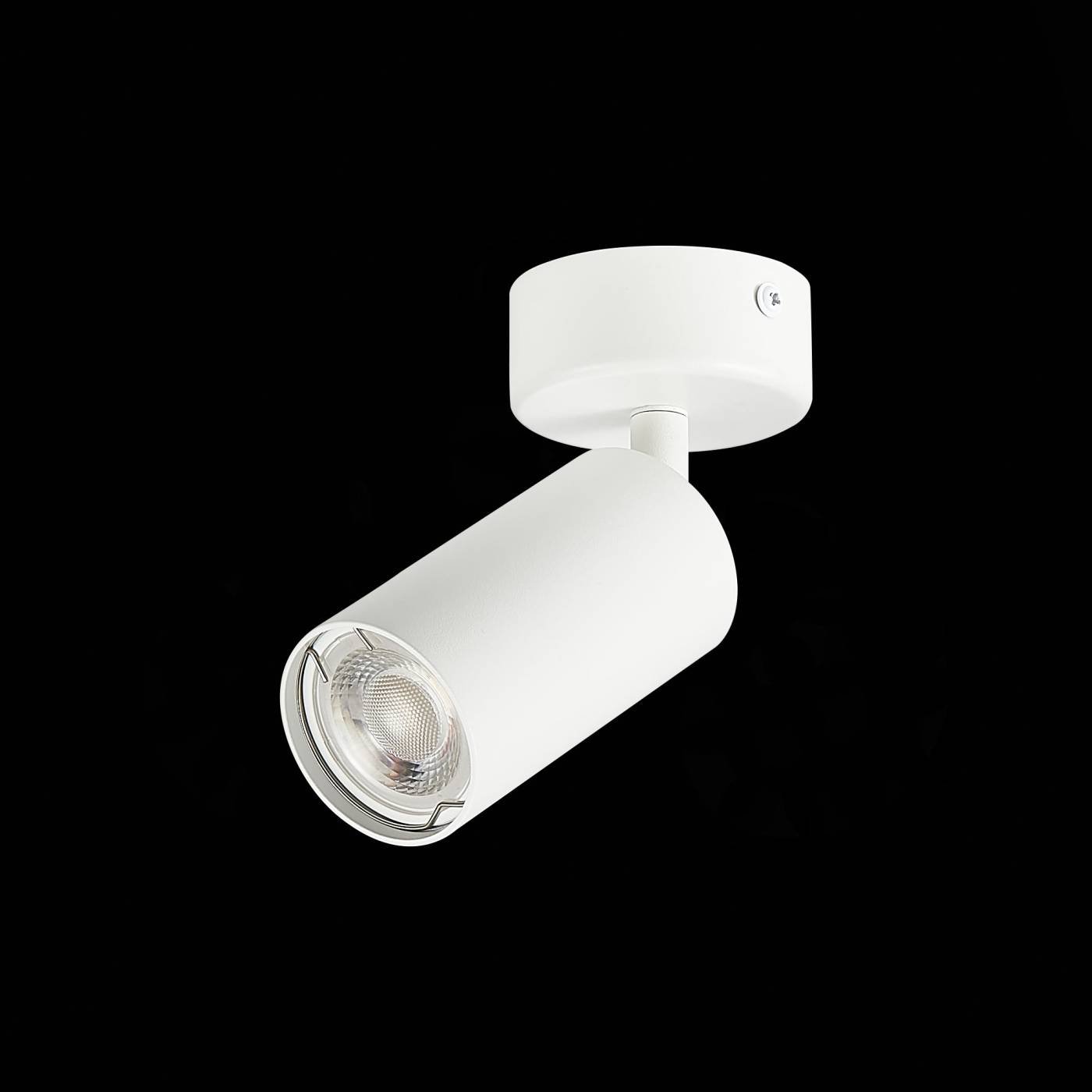 ST303.502.01 Светильник спот ST Luce Dario ST303.502.01