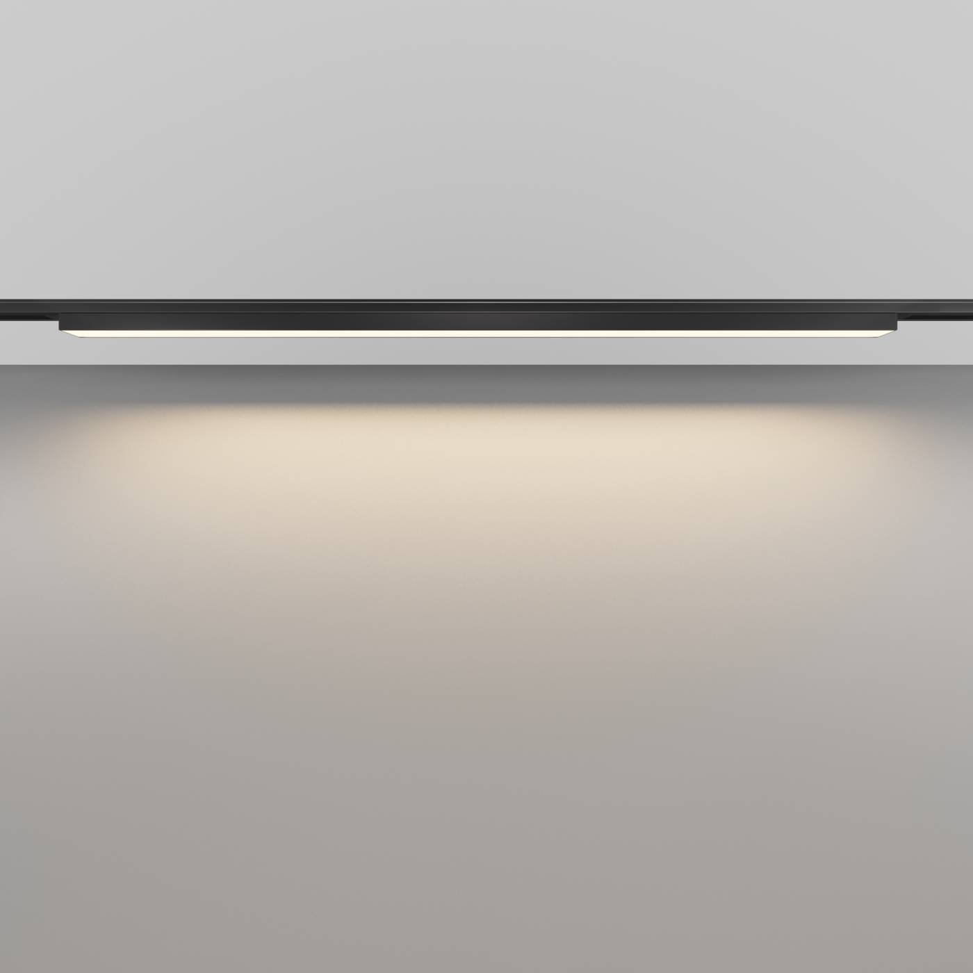 Трековый светильник Maytoni Basis TR192-1-21W3K-B