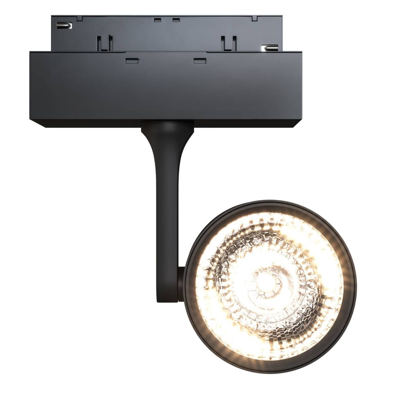 TR024-2-10B3K Трековый светильник Maytoni Track Lamps TR024-2-10B3K