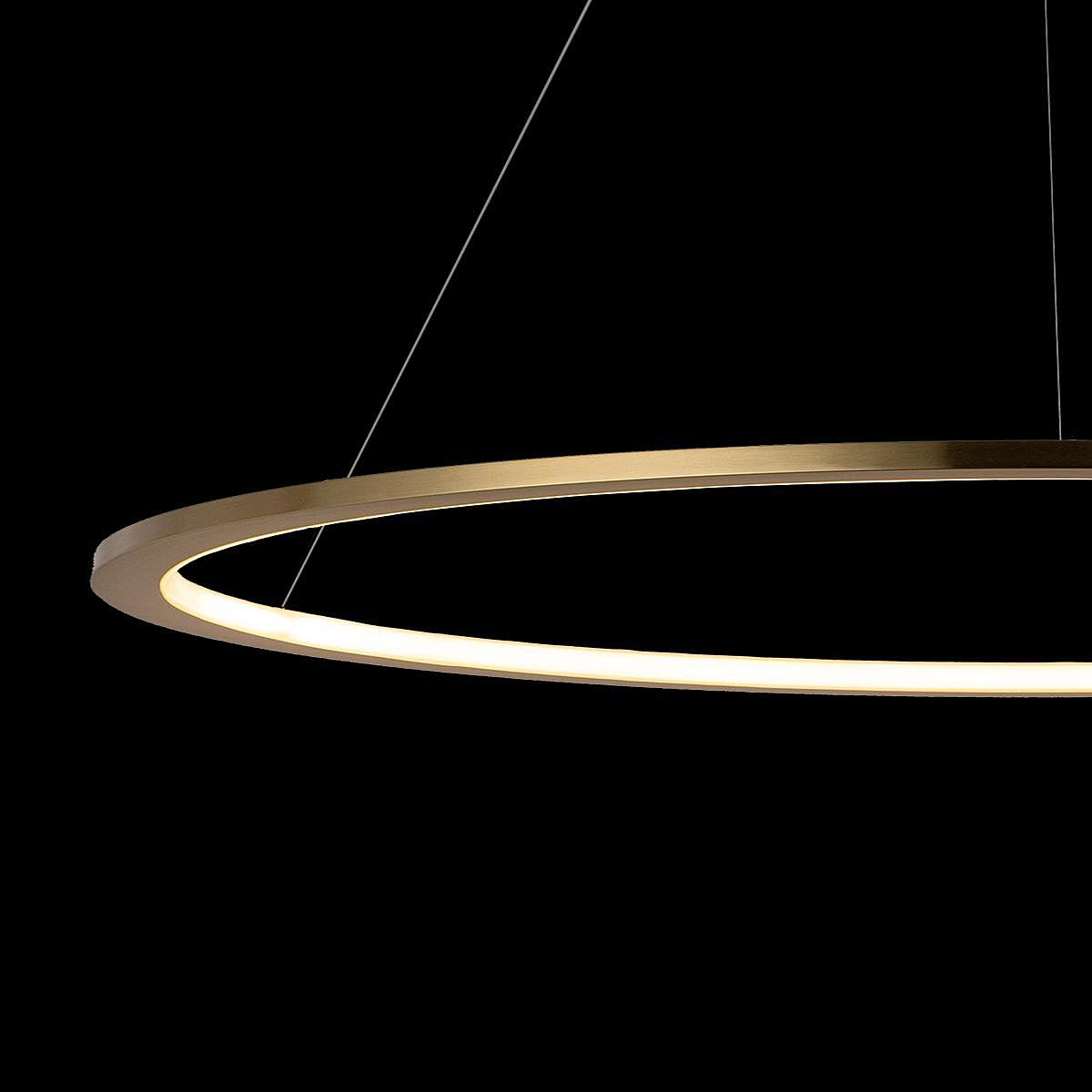 10014L Светильник подвесной Loft It Ring 10014L