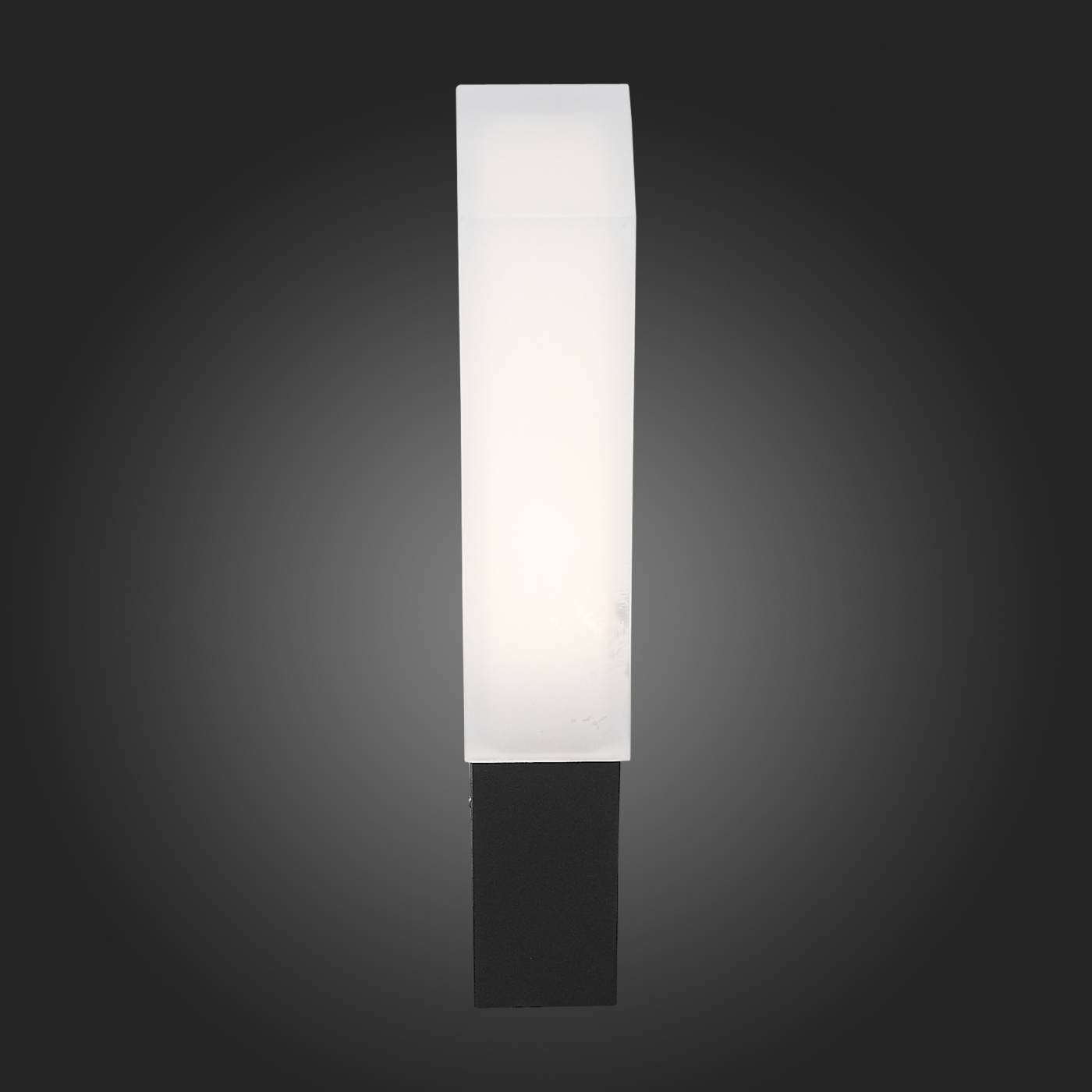 SL096.411.02 Уличный LED настенный светильник ST Luce Posto SL096.411.02