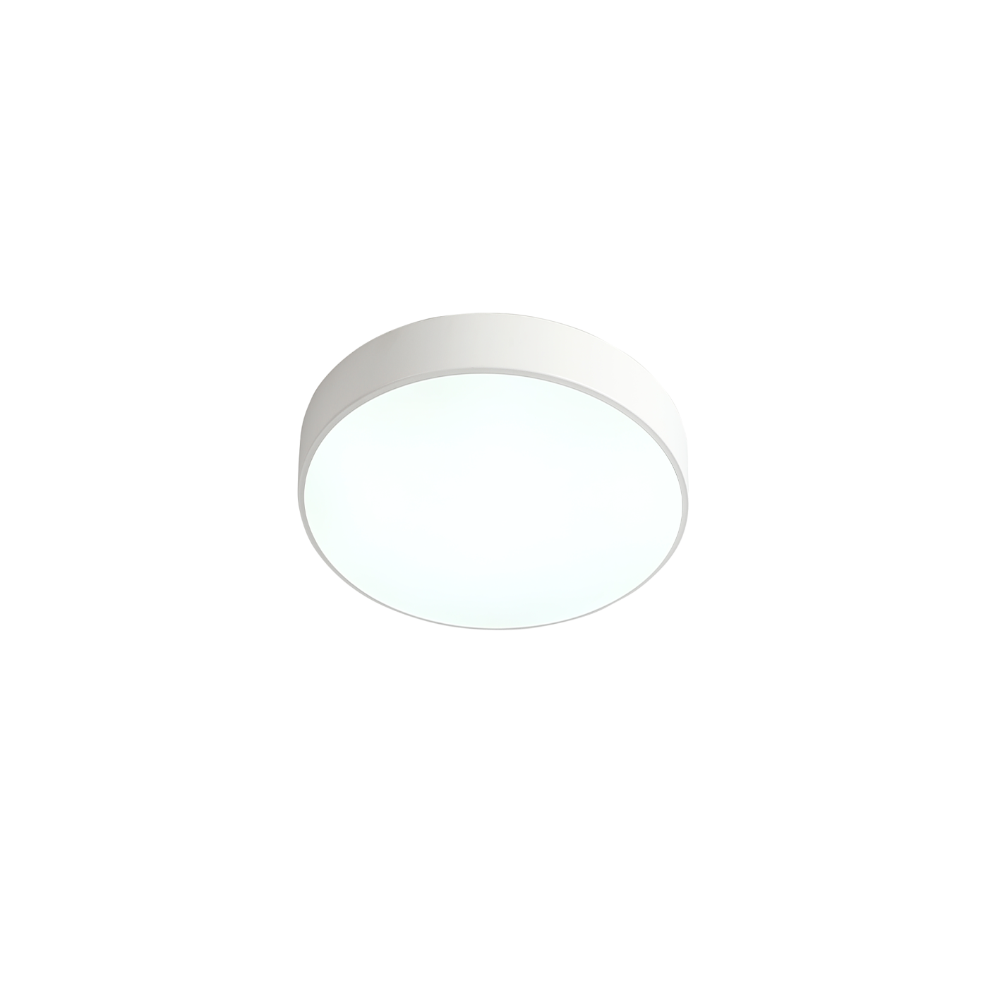 ZRS.02564.36 Светильник потолочный Zortes Tortty ZRS.02564.36