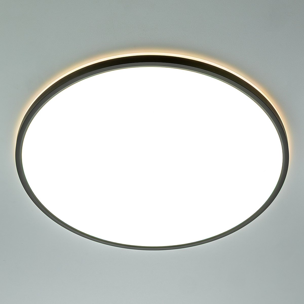 Светильник потолочный Citilux NORMA CL749501