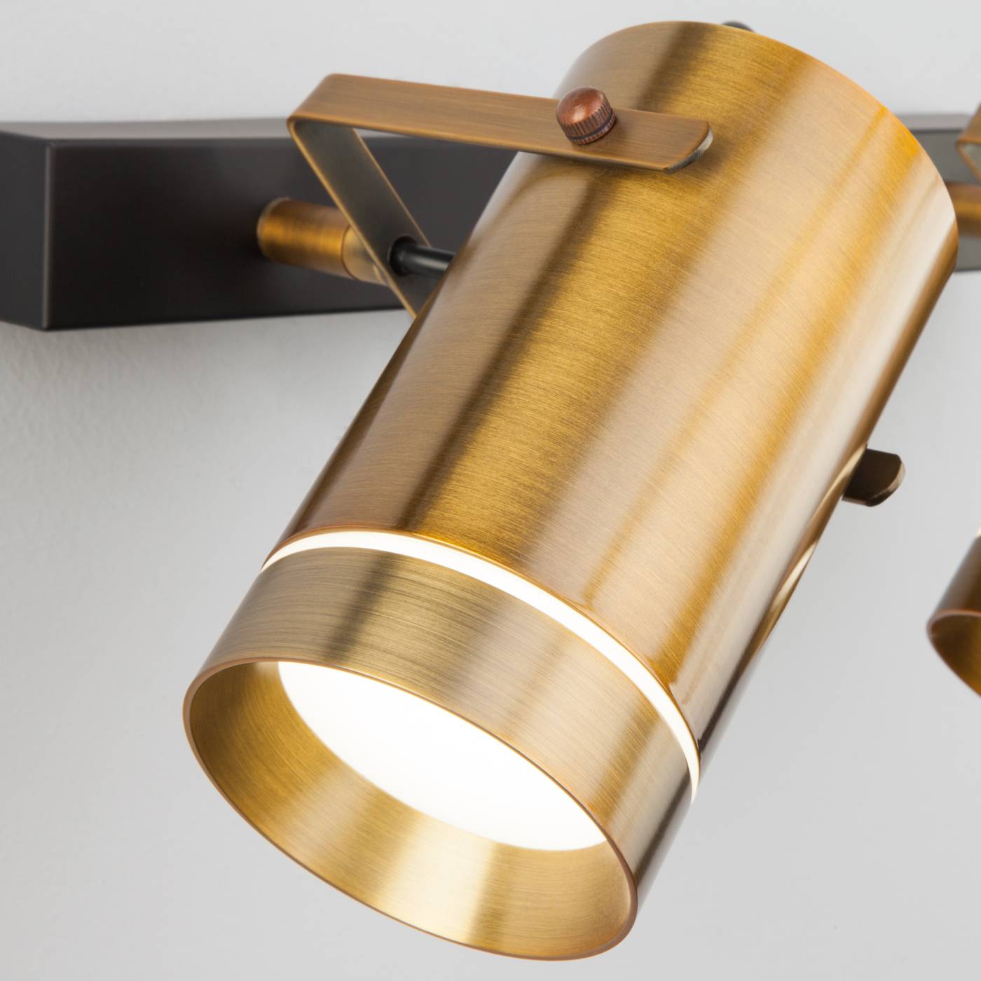 20063/2 LED античная бронза Светильник спот Eurosvet Bronze 20063/2 LED античная бронза 18W