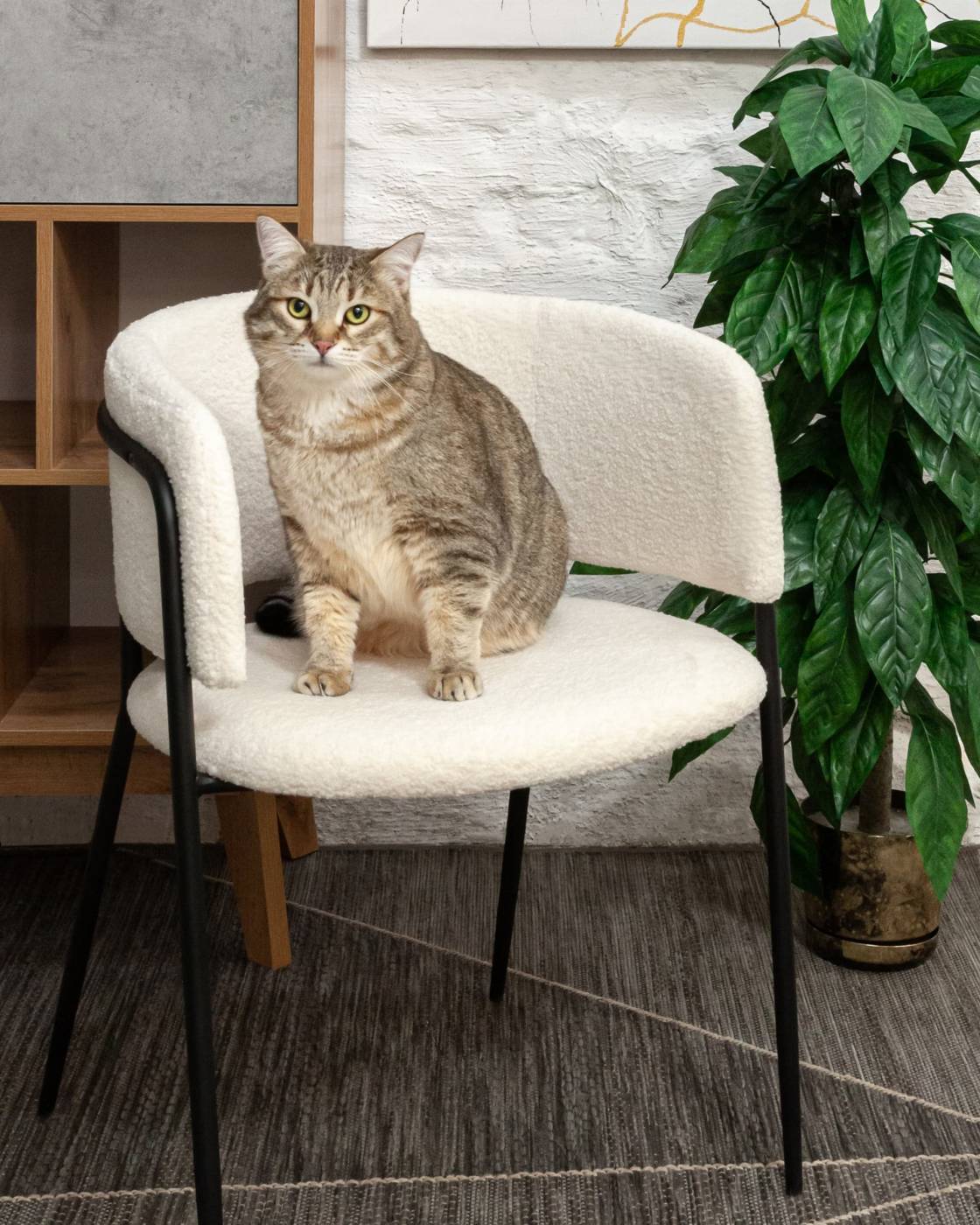 Комплект стульев Stool Group Нэлли FDC9152 1953-1 X2