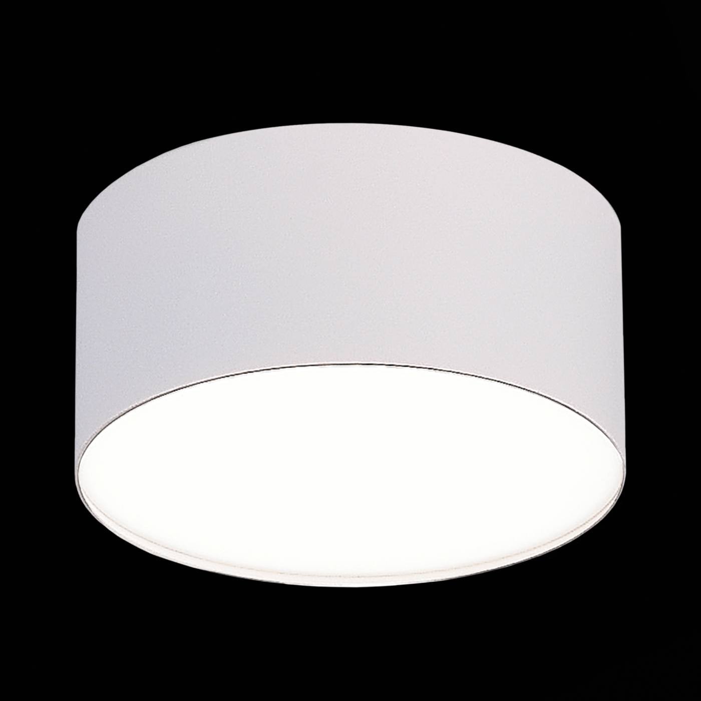 Светильник потолочный ST Luce ST606.542.12