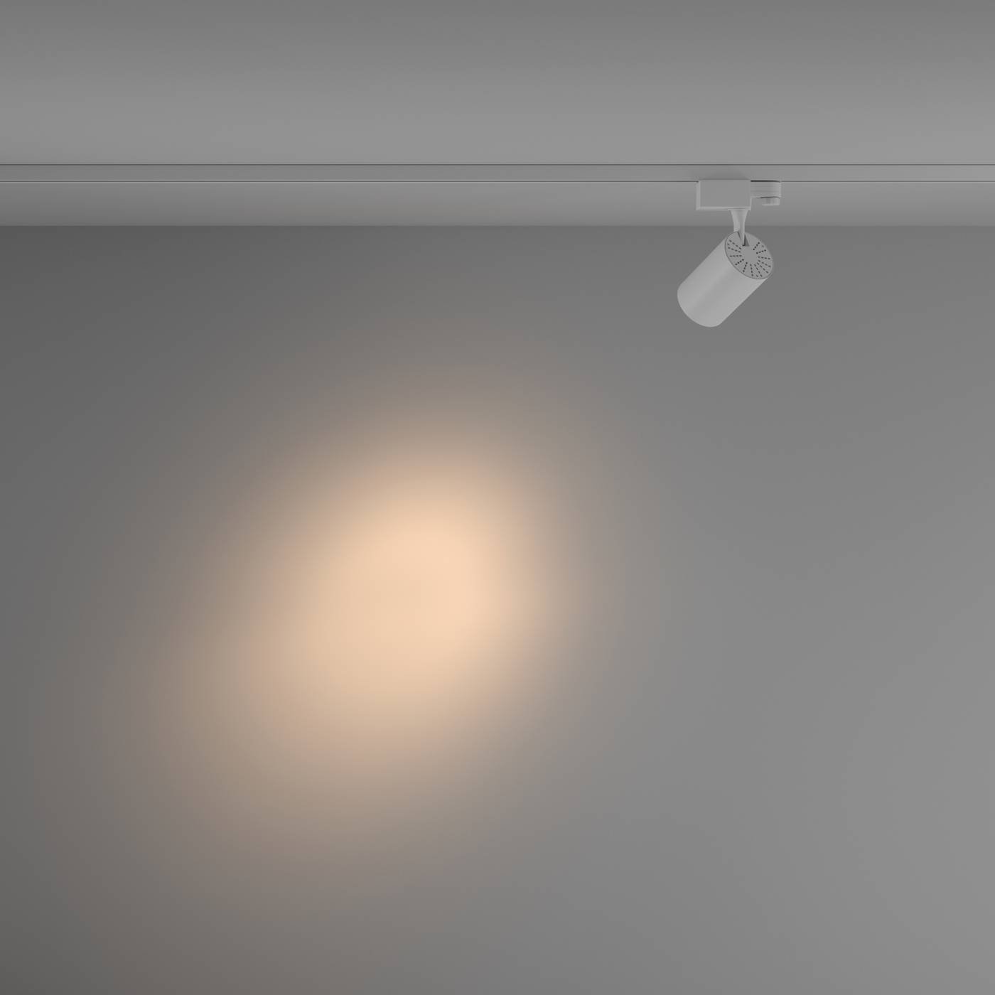 Трековый светильник Maytoni Vuoro Trinity TR029-3-10W3K-S-W