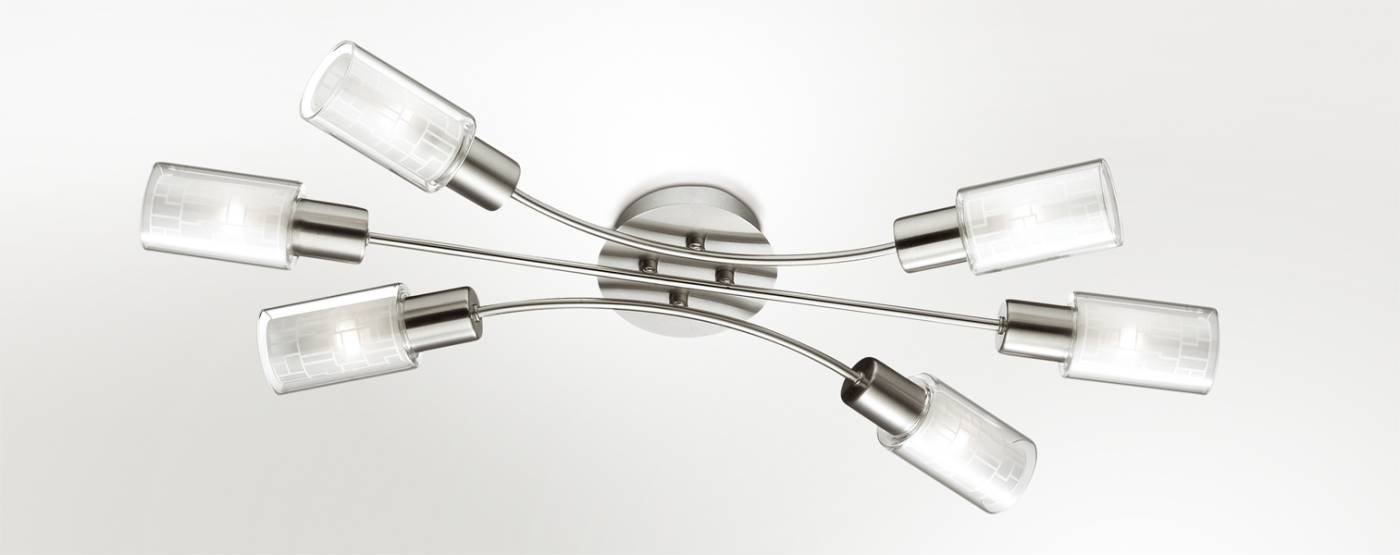 Потолочная люстра Odeon Light Hales 2613/6C