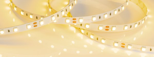 LED лента Arlight RT открытая 008816