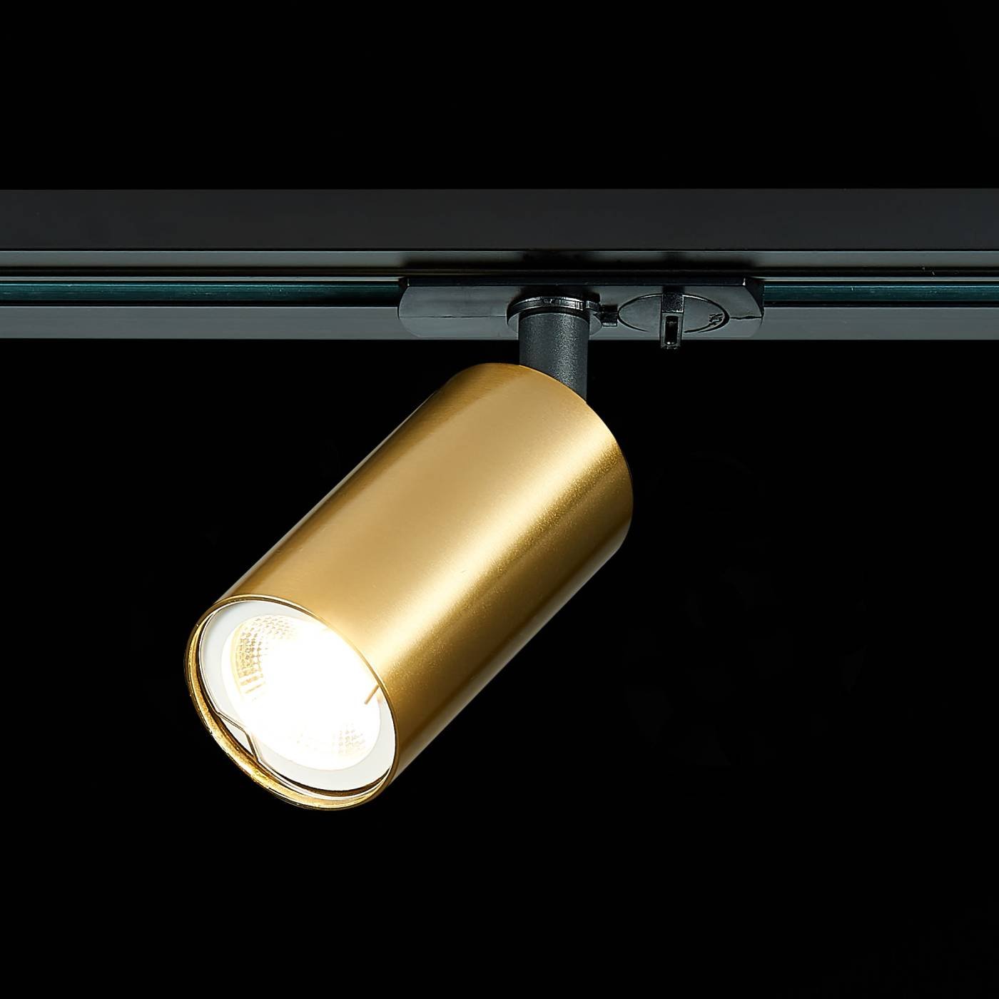 ST300.206.01 Трековый светильник ST Luce ST300 ST300.206.01