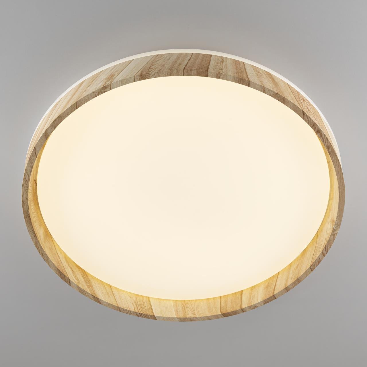 CL753452G Светильник потолочный Citilux Enzo CL753452G