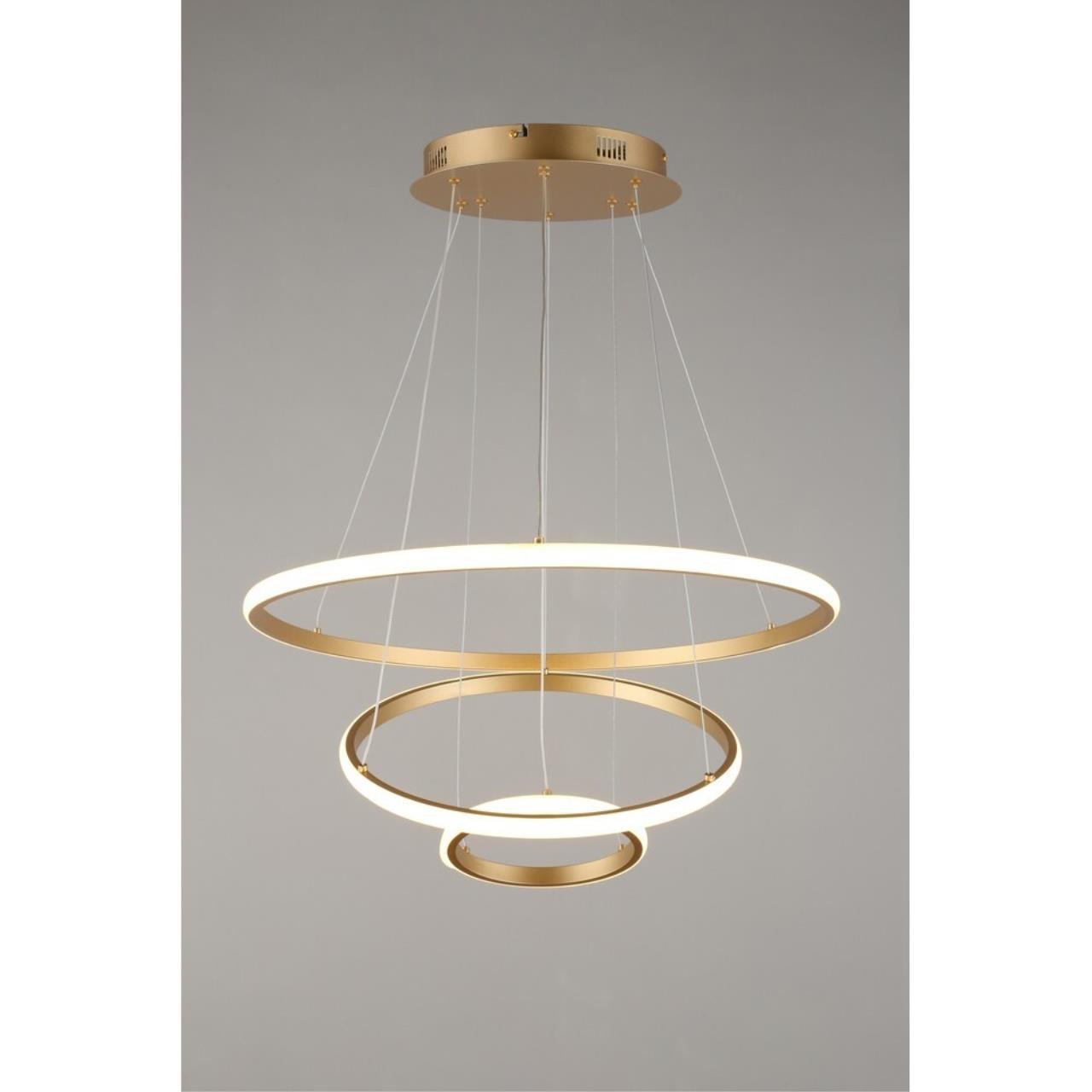 Подвесная люстра Aployt Janina APL.018.13.60