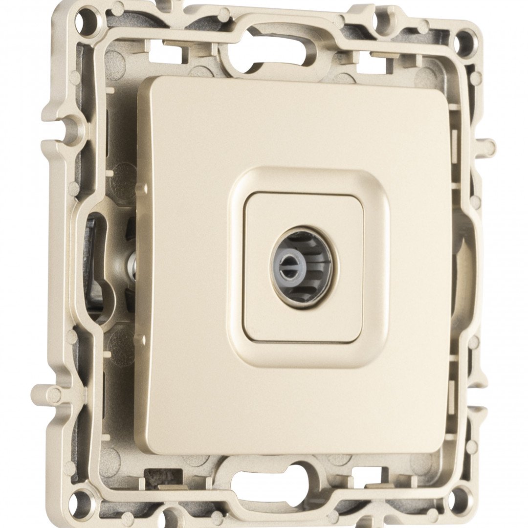 Розетка Arte Milano Am-217 217.43-1.shampan