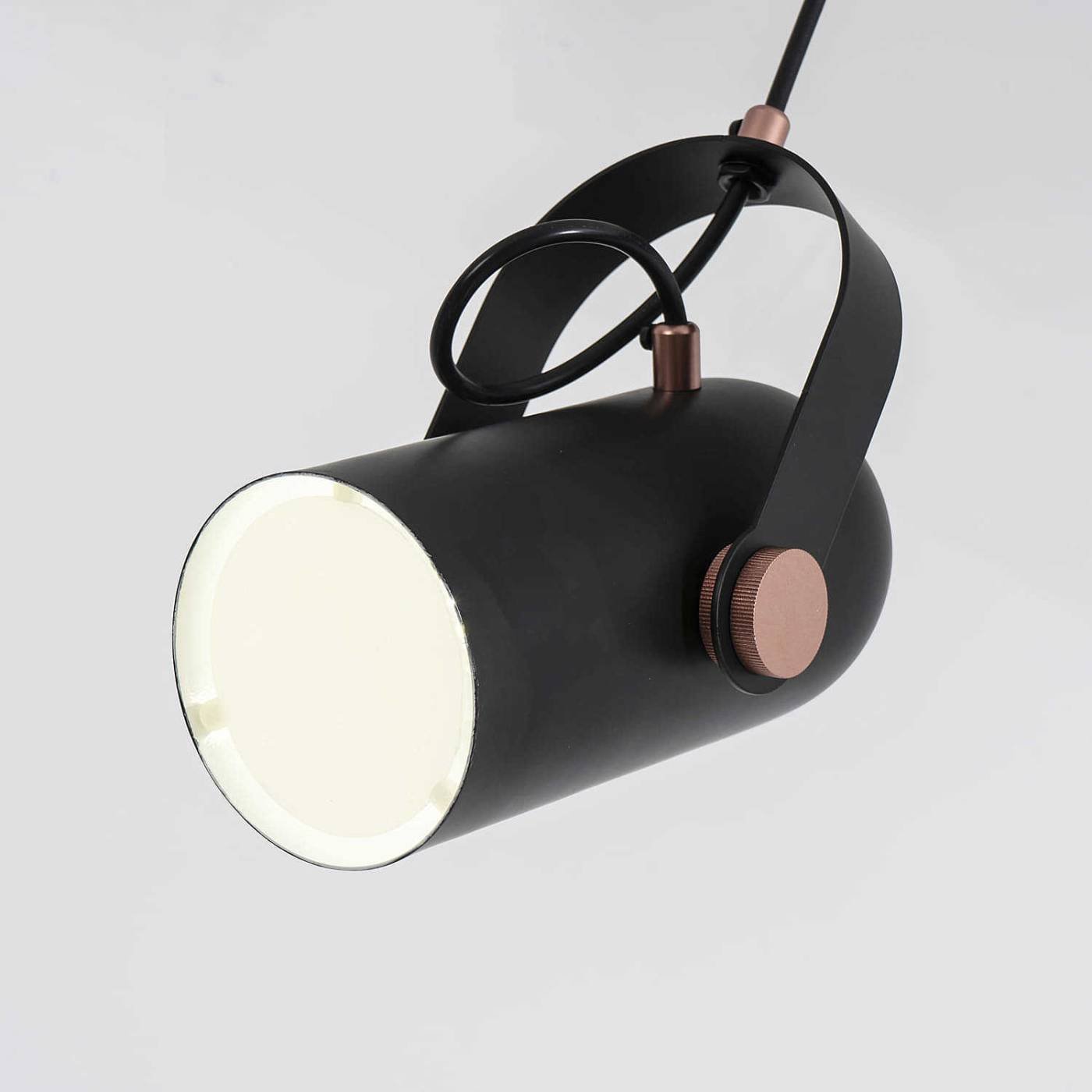 2007-1P Светильник подвесной Favourite Ampolla 2007-1P