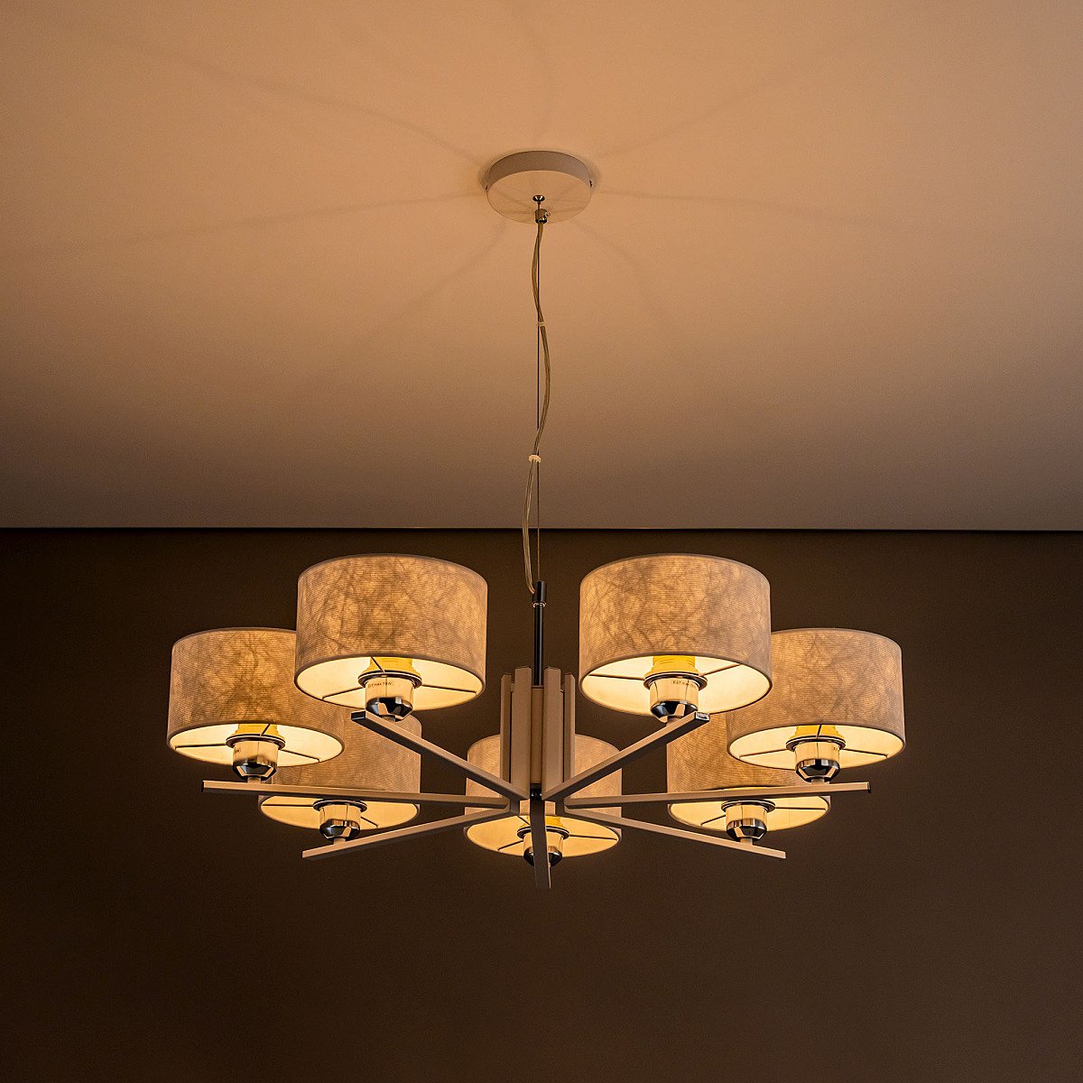 CL469170 Подвесная люстра Citilux Тильда CL469170