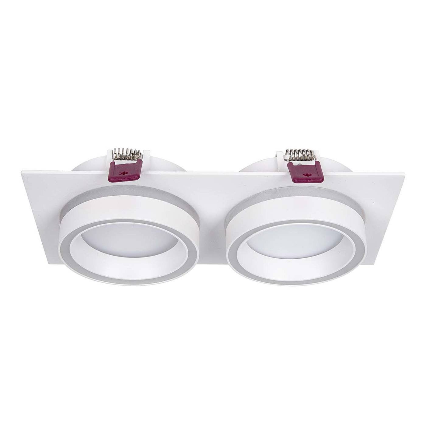 Встраиваемый светильник Favourite Vasto 4650-2C