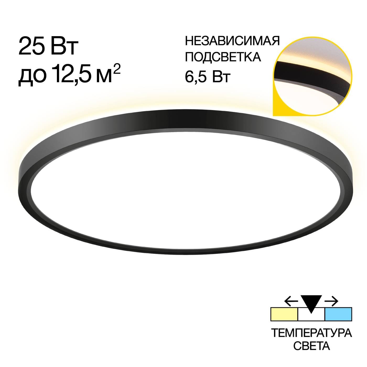 CL748321 Светильник потолочный Citilux Norma CL748321