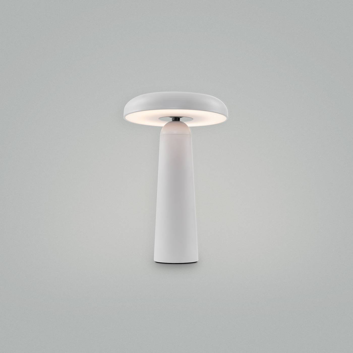 Настольная лампа Freya Mushroom FR6109TL-L4W