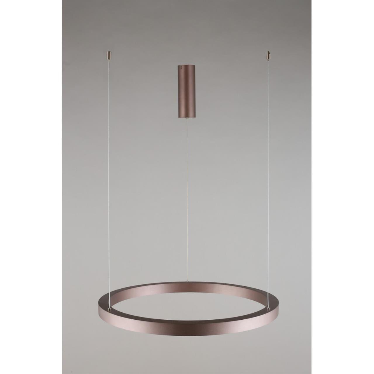 Подвесная люстра Aployt Nisia APL.025.03.48