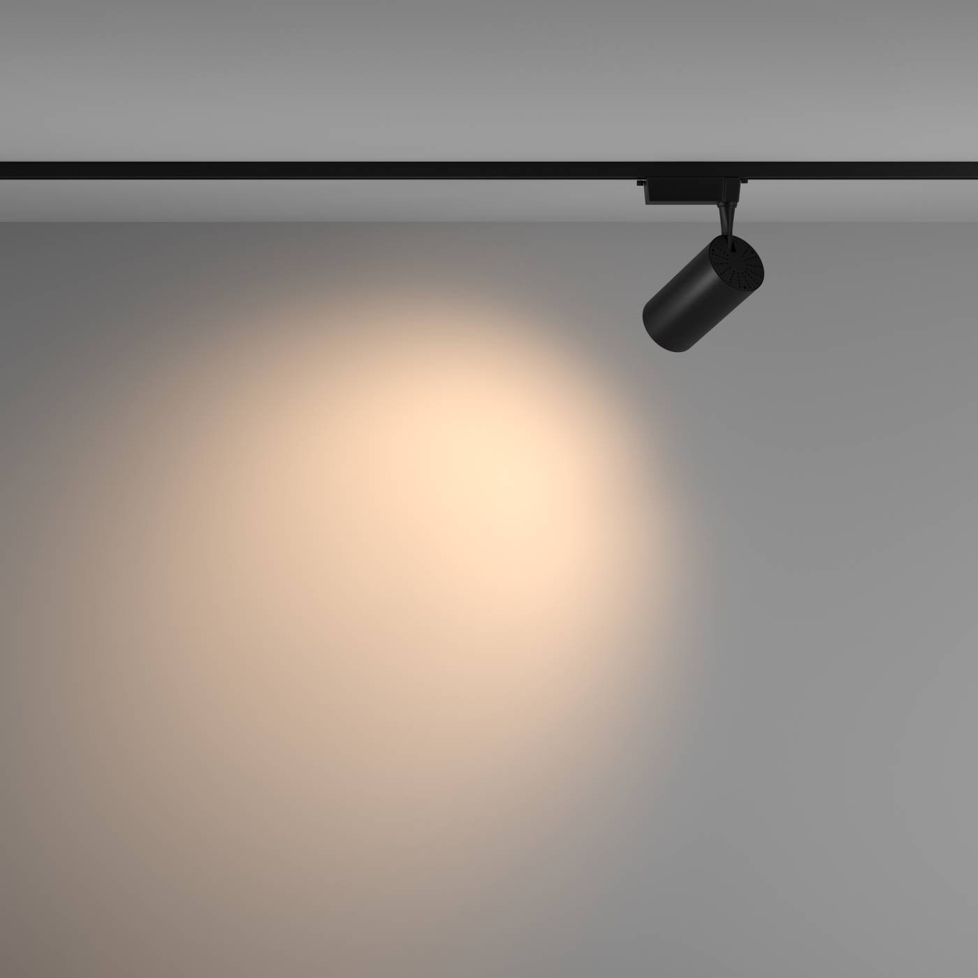 TR003-1-36W3K-W-B Трековый светильник Maytoni Vuoro Unity TR003-1-36W3K-W-B