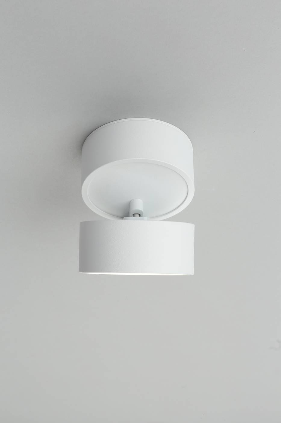 OML-101309-12 Накладной светильник Omnilux Lenno OML-101309-12
