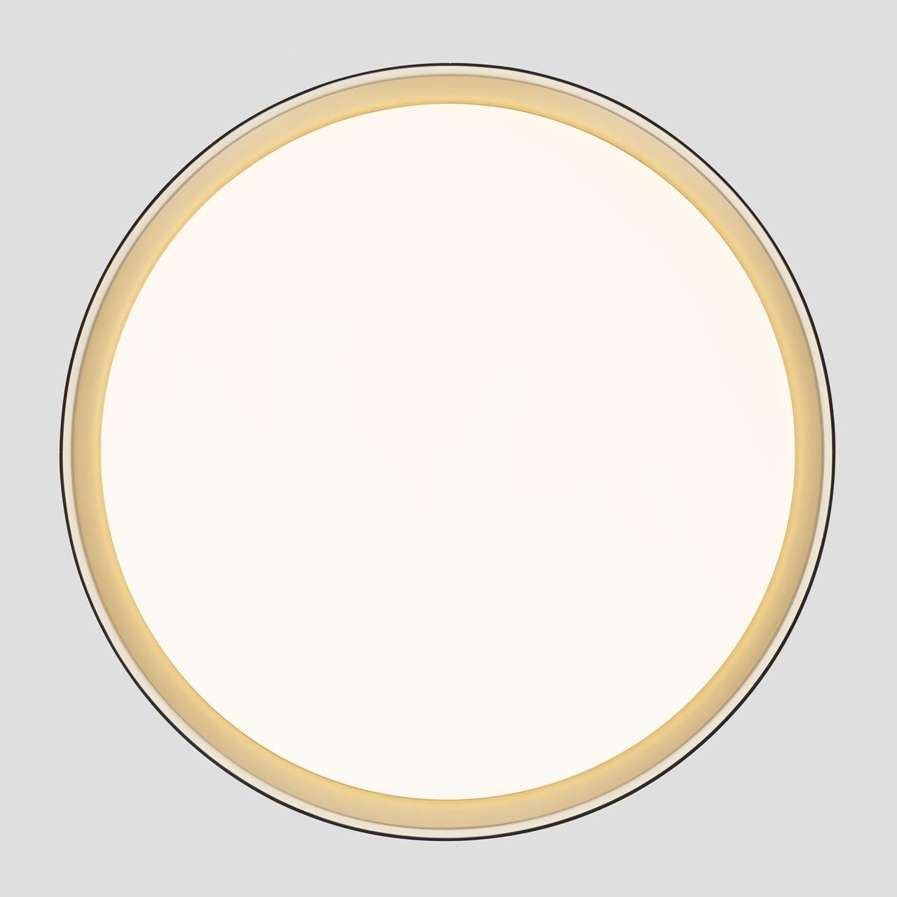 CL751451G Светильник потолочный Citilux Boss CL751451G