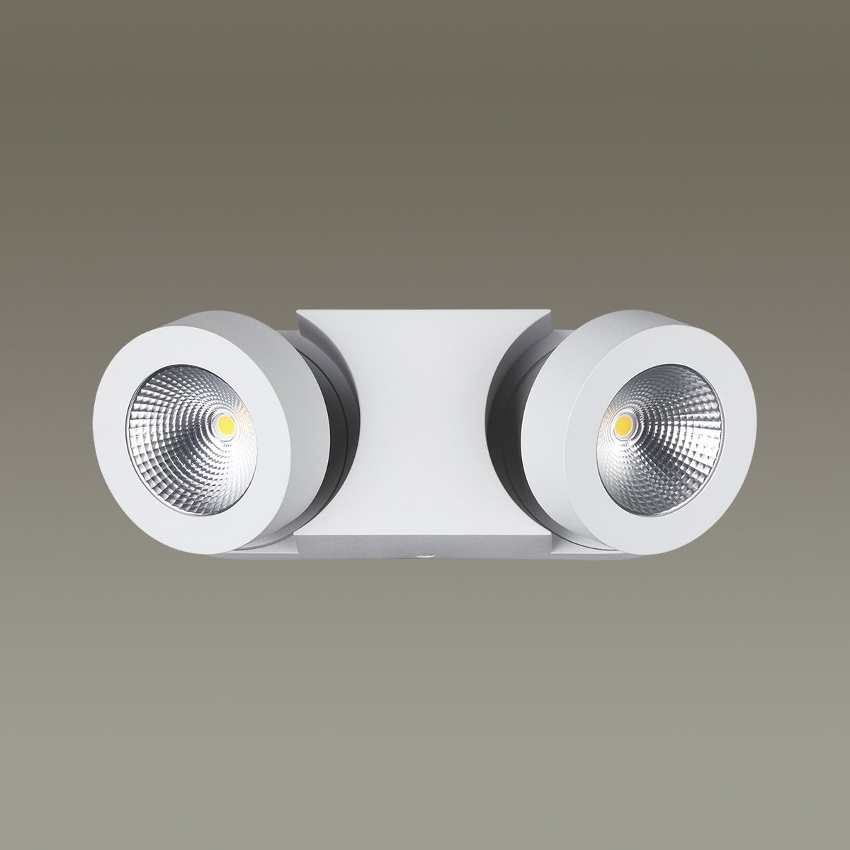 Светильник спот Odeon Light Laconis 3538/2WL