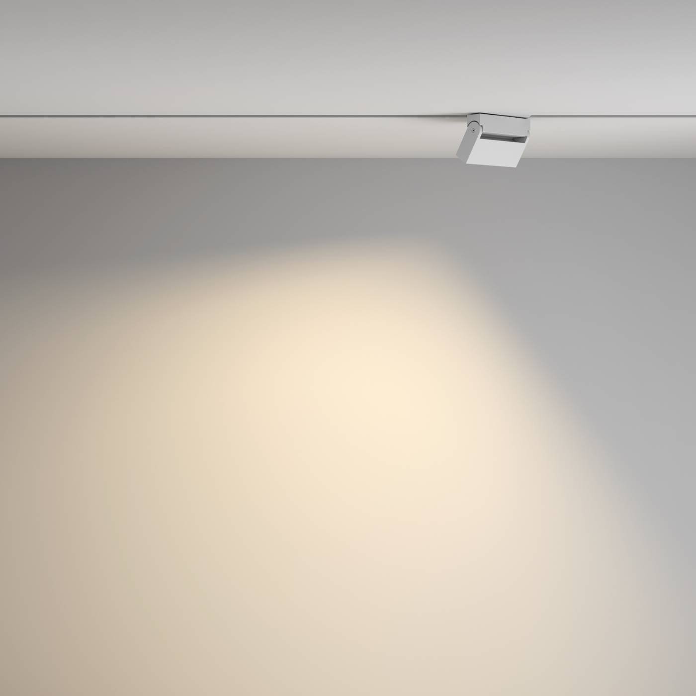 TR077-2-10W3K-W Трековый светильник Maytoni Points Rot Gravity TR077-2-10W3K-W