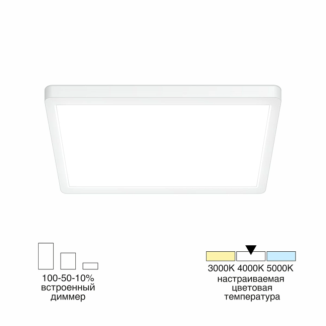 CL738K240V Светильник потолочный Citilux Бейсик CL738K240V