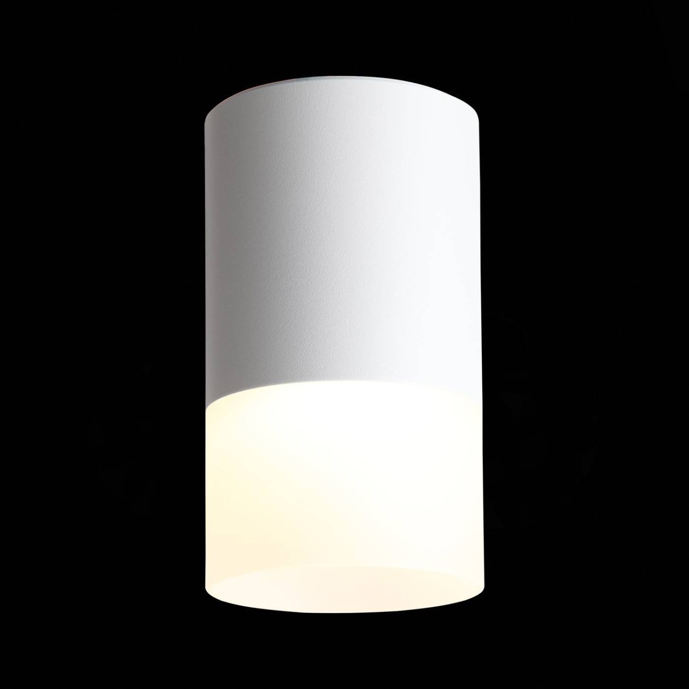 Накладной светильник ST Luce Ottu ST100.502.05