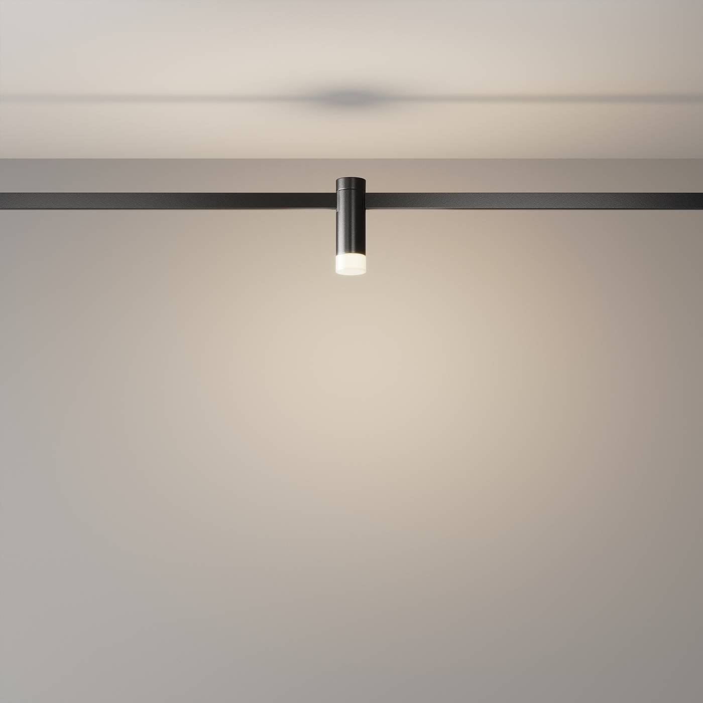 Трековый светильник Maytoni Skim TR145-1-3W4K-W-B