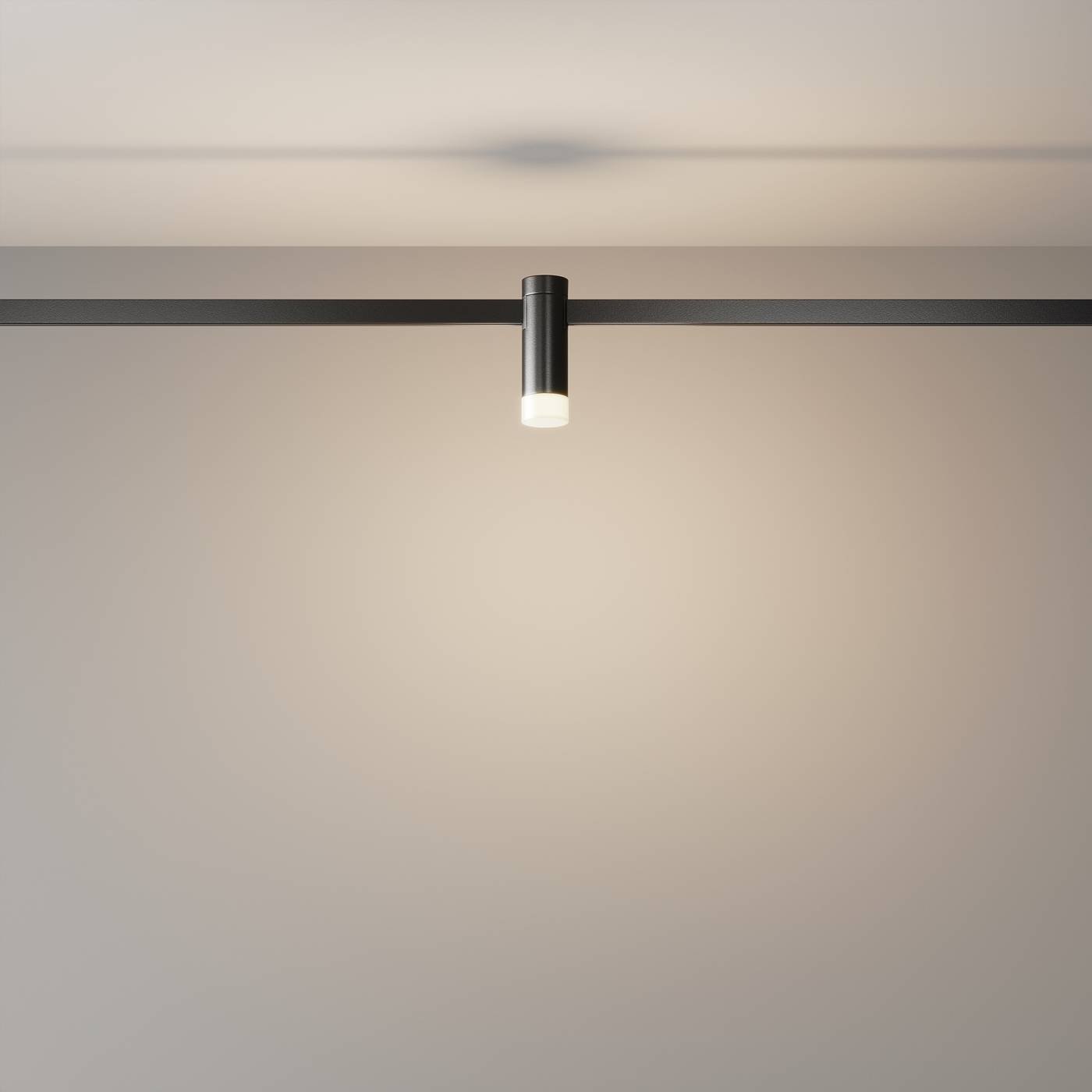 Трековый светильник Maytoni Skim TR145-1-3W3K-W-B